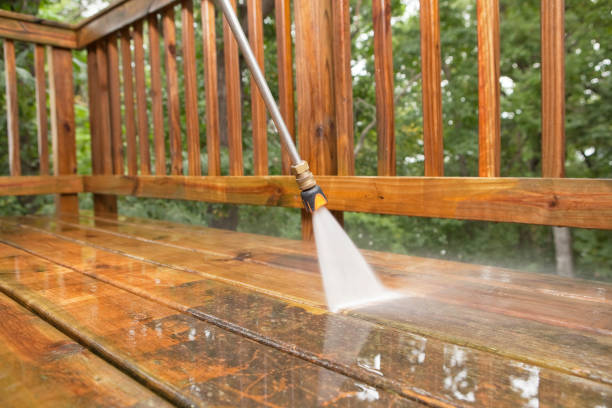 Best Affordable Power Washing  in Tazewell, VA